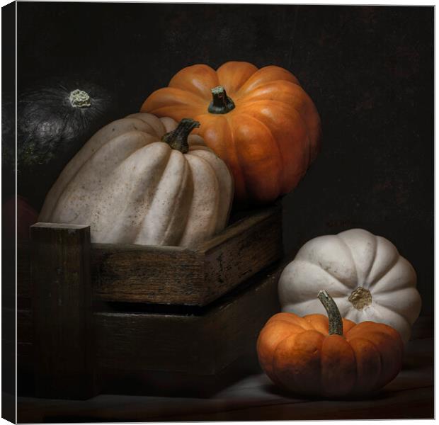 Mixed squash Canvas Print by Garry Quinn