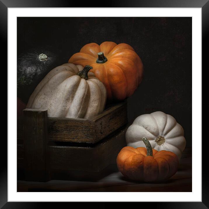 Mixed squash Framed Mounted Print by Garry Quinn