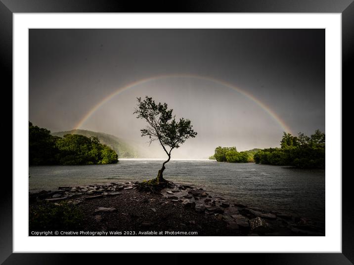 The Lone Tree, Llyn Padarn Framed Mounted Print by Creative Photography Wales