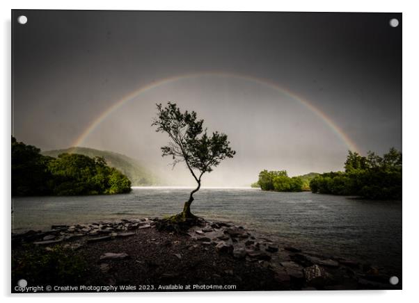 The Lone Tree, Llyn Padarn Acrylic by Creative Photography Wales