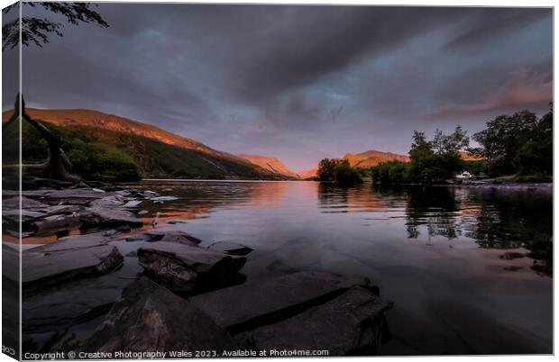 The Lone Tree, Llyn Padarn Canvas Print by Creative Photography Wales