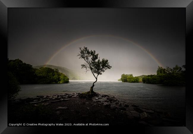 The Lone Tree, Llyn Padarn Framed Print by Creative Photography Wales