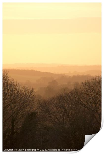 Bathing in a Nottinghamshire Gold Print by 28sw photography