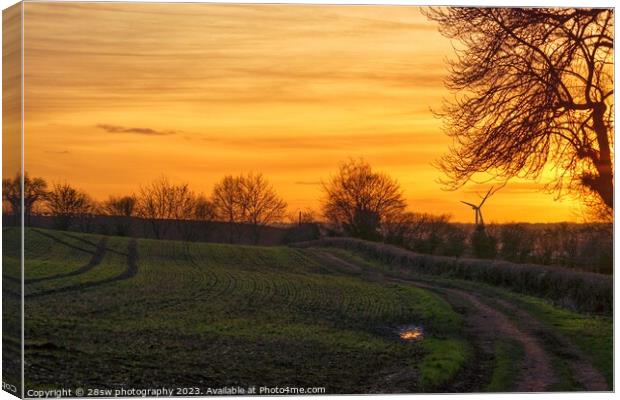 Watnall Woods and the Golden View. Canvas Print by 28sw photography