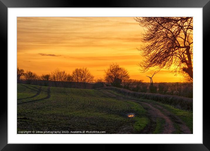 Watnall Woods and the Golden View. Framed Mounted Print by 28sw photography