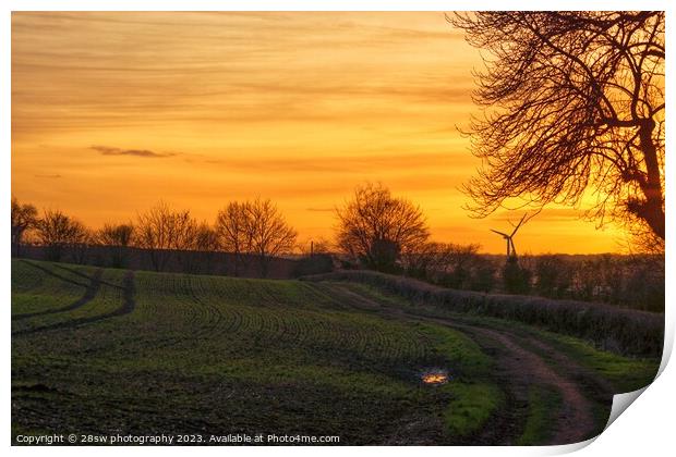 Watnall Woods and the Golden View. Print by 28sw photography