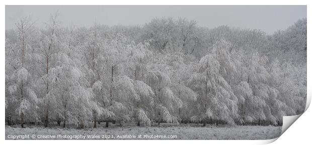 Forest of Dean Winter Landscape Print by Creative Photography Wales