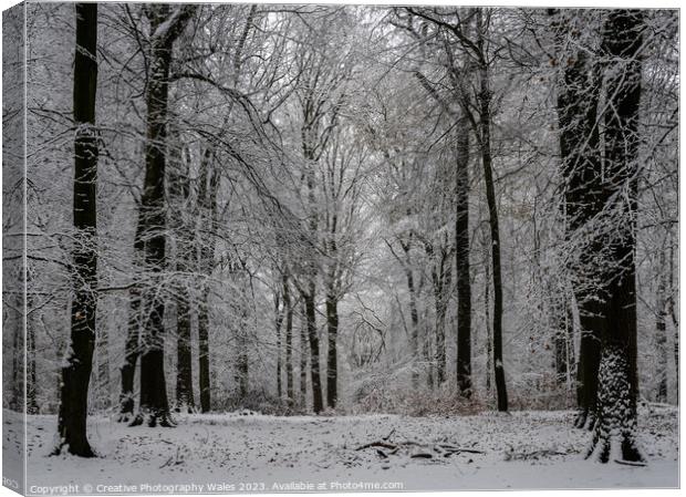 Forest of Dean Winter Landscape Canvas Print by Creative Photography Wales