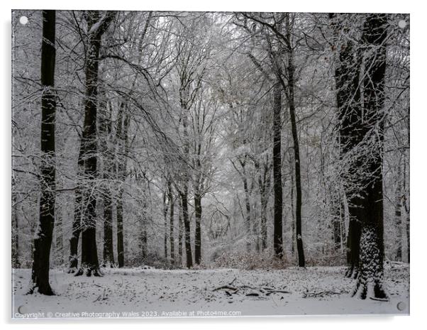 Forest of Dean Winter Landscape Acrylic by Creative Photography Wales