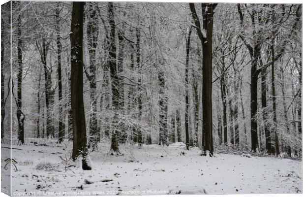 Forest of Dean Winter Landscape Canvas Print by Creative Photography Wales
