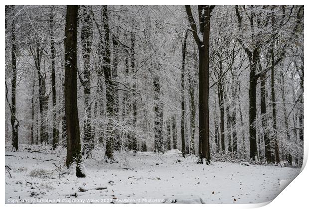 Forest of Dean Winter Landscape Print by Creative Photography Wales