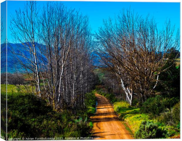 A farm track in the Langkloof valley Canvas Print by Adrian Turnbull-Kemp