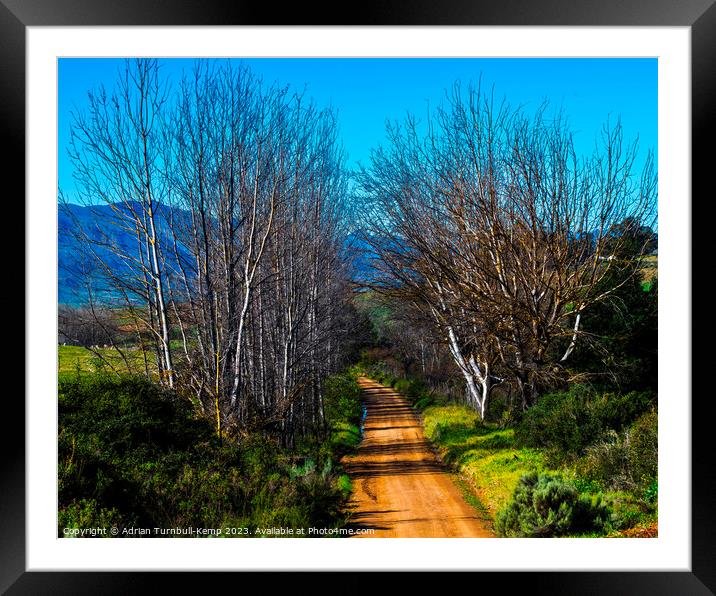 A farm track in the Langkloof valley Framed Mounted Print by Adrian Turnbull-Kemp