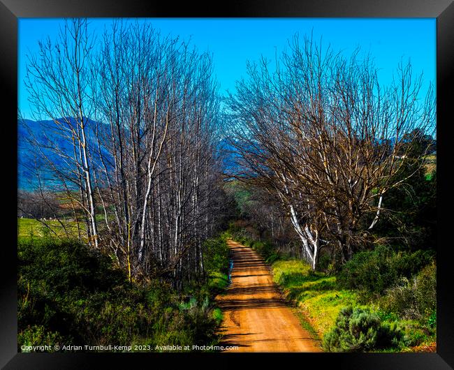 A farm track in the Langkloof valley Framed Print by Adrian Turnbull-Kemp