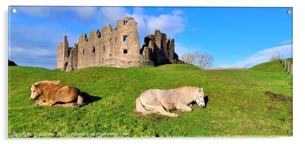 Guardians of Brough Castle, Cumbria Acrylic by Sandie 