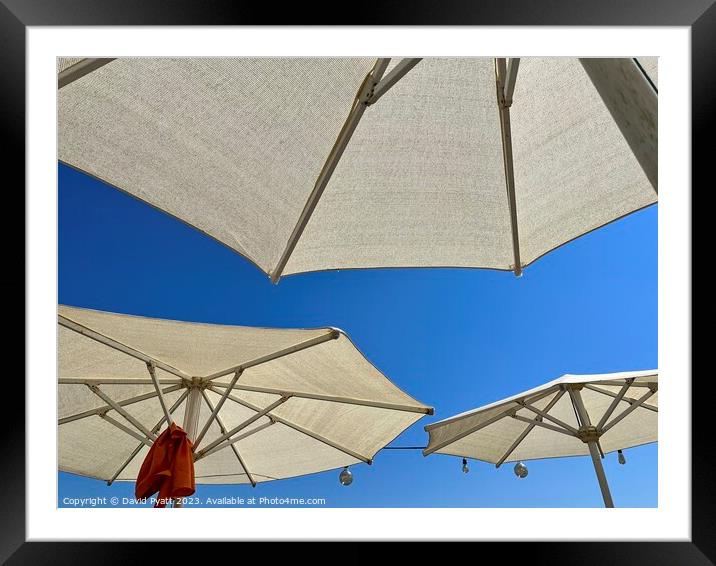 Beach Club Parasols  Framed Mounted Print by David Pyatt