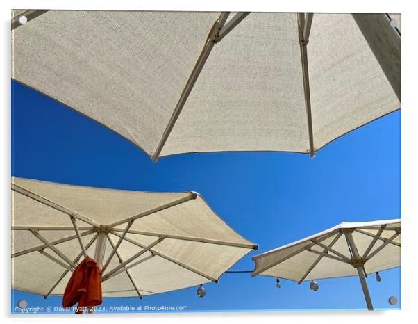 Beach Club Parasols  Acrylic by David Pyatt