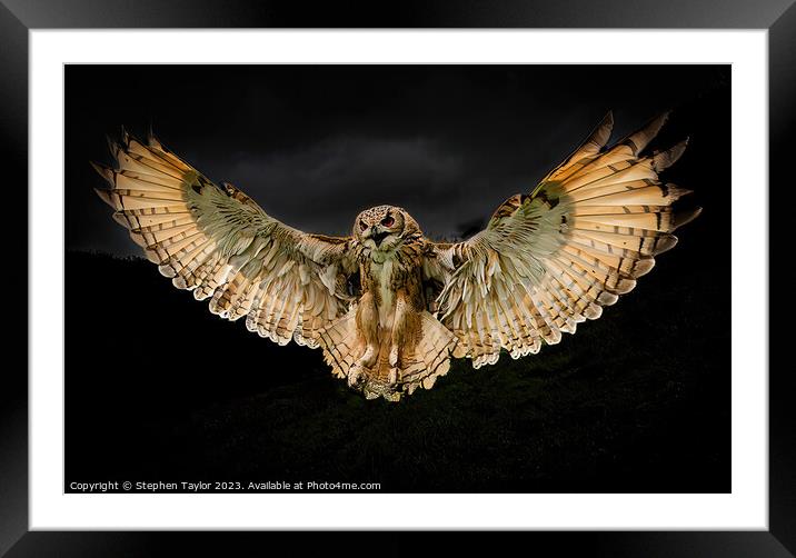 Halloween Owl  Framed Mounted Print by Stephen Taylor