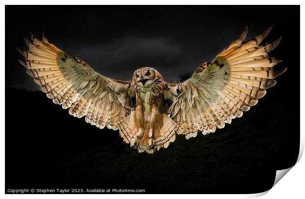 Halloween Owl  Print by Stephen Taylor