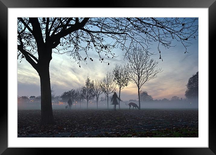 Misty afternoon in the park Framed Mounted Print by Gary Eason