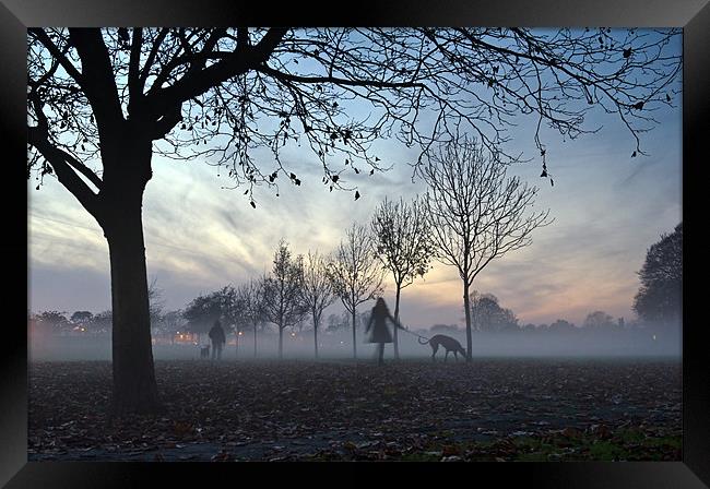 Misty afternoon in the park Framed Print by Gary Eason
