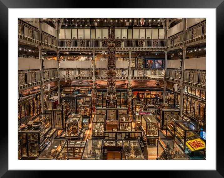 Pitt Rivers Museum. Framed Mounted Print by Angela Aird