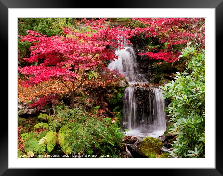 Autumn waterfall in Johnston Gardens Framed Mounted Print by Gillian Robertson