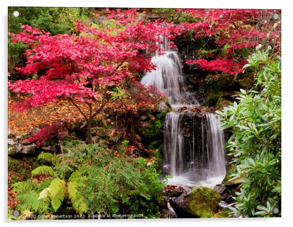 Autumn waterfall in Johnston Gardens Acrylic by Gillian Robertson