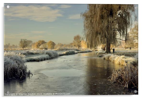Frozen River Longford, Bushy Park  Acrylic by Stephen Noulton