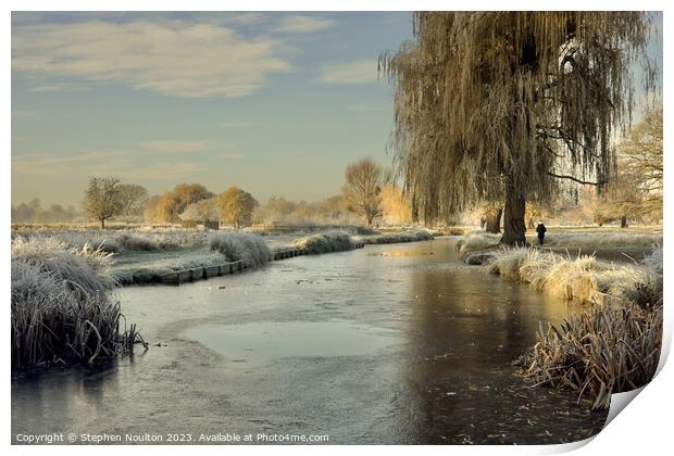 Frozen River Longford, Bushy Park  Print by Stephen Noulton