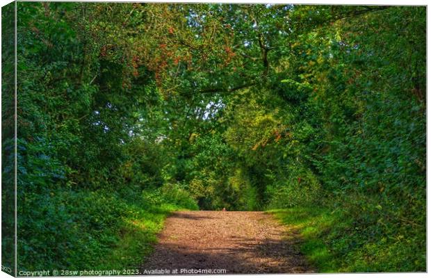The Red Berry Path. Canvas Print by 28sw photography