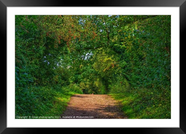 The Red Berry Path. Framed Mounted Print by 28sw photography