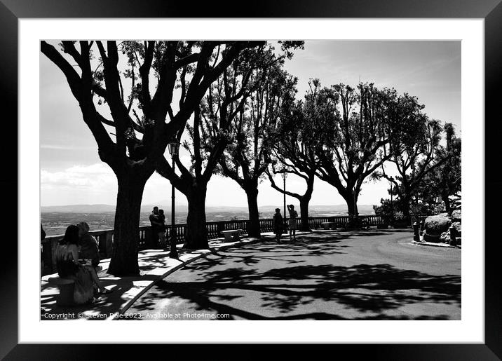 Tuscan Horizon: Cortona Tree Silhouettes Framed Mounted Print by Steven Dale