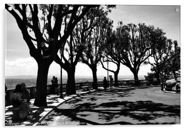 Tuscan Horizon: Cortona Tree Silhouettes Acrylic by Steven Dale
