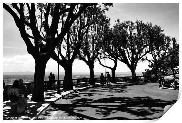 Tuscan Horizon: Cortona Tree Silhouettes Print by Steven Dale