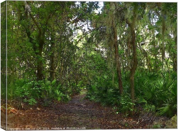 Forest's Solitary Sentinel FLORIDA SWAP JUNGLE gre Canvas Print by dale rys (LP)