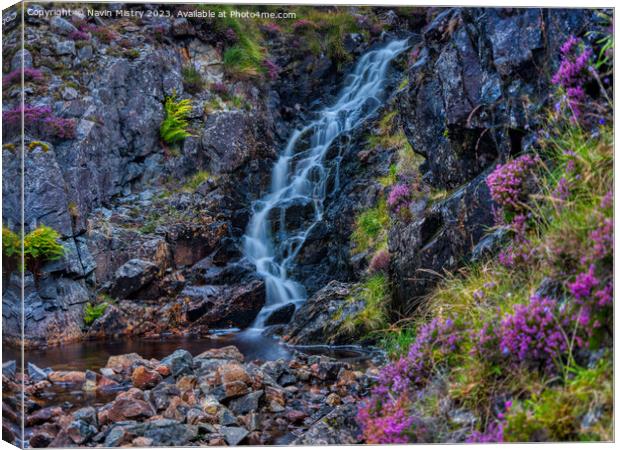 A Waterfall and Heather Canvas Print by Navin Mistry