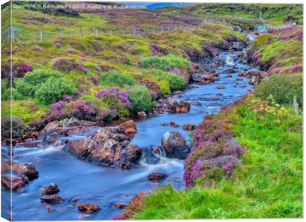 A heather lined Stream, Isle of Harris Canvas Print by Navin Mistry