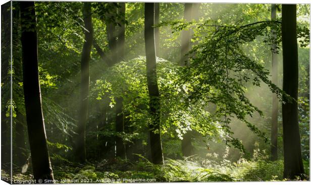 sunlit tree and woodland  Canvas Print by Simon Johnson