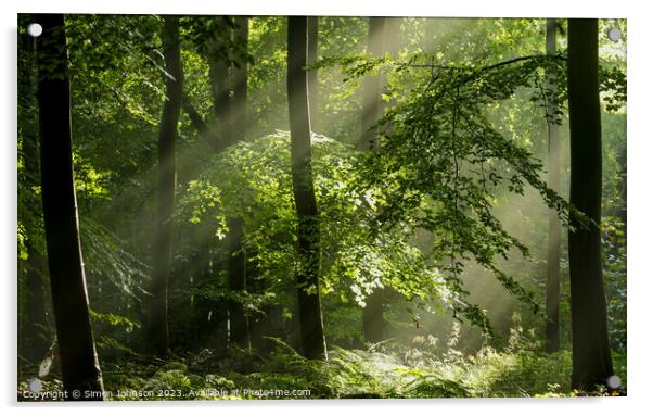sunlit tree and woodland  Acrylic by Simon Johnson