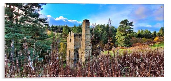 Beautiful Decay of the Shildon Engine House Acrylic by Sandie 