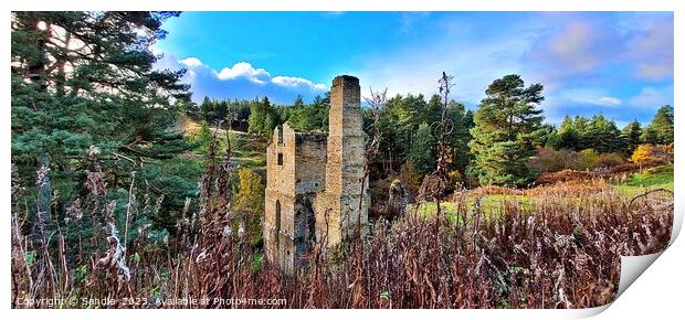 Beautiful Decay of the Shildon Engine House Print by Sandie 