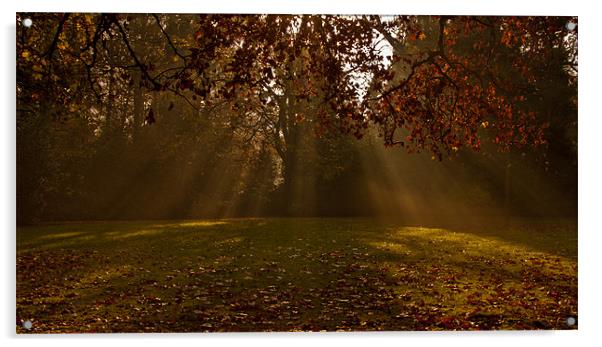 Kelsey Park Beckenham Sunbeams Acrylic by Dawn O'Connor