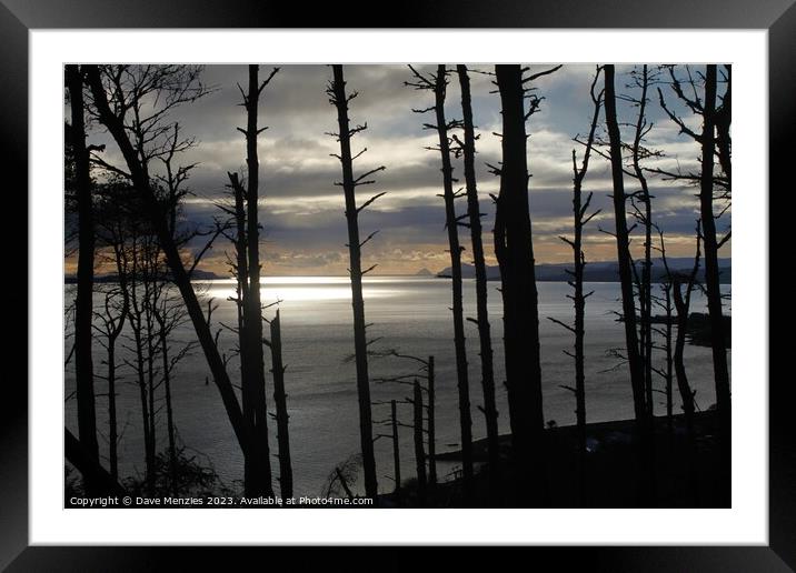 Argyll Forrest View Framed Mounted Print by Dave Menzies
