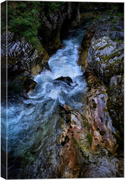 Mountian River Nature Abstract Canvas Print by Artur Bogacki
