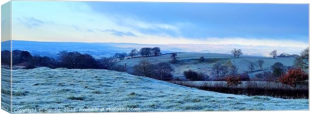 Frost Mantling The North Pennine Moor, Near Brough Canvas Print by Sandie 
