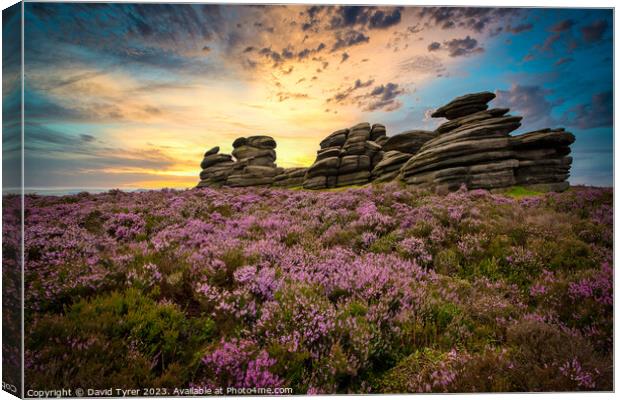 Wheel Stones: A Derbyshire Summer's Panorama Canvas Print by David Tyrer