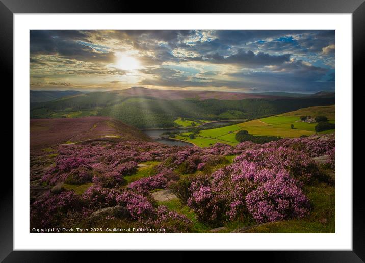 Vibrant Pastoral Panorama Framed Mounted Print by David Tyrer