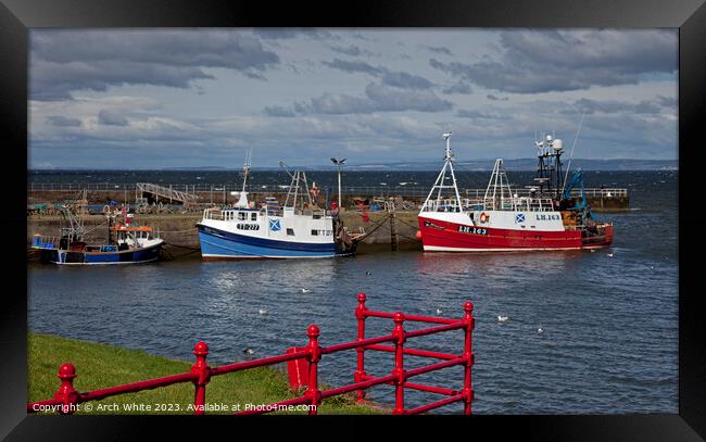 Port Seton Harbour, East Lothian, Scotland, UK Framed Print by Arch White
