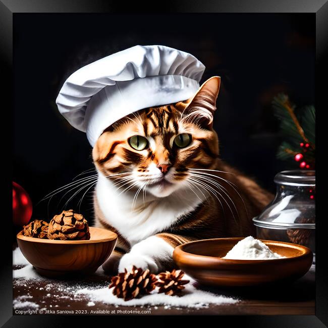 Christmas master chef cat  Framed Print by Jitka Saniova